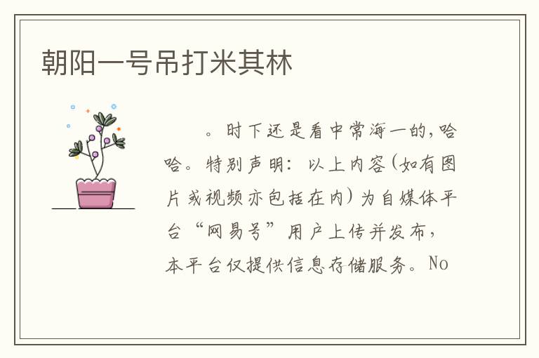朝阳一号吊打米其林