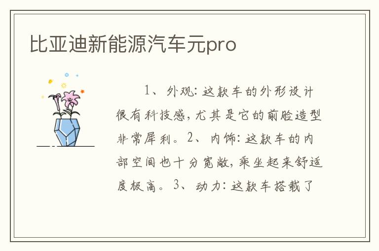 比亚迪新能源汽车元pro