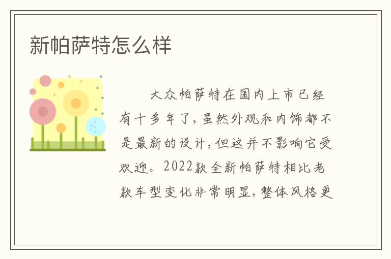 新帕萨特怎么样