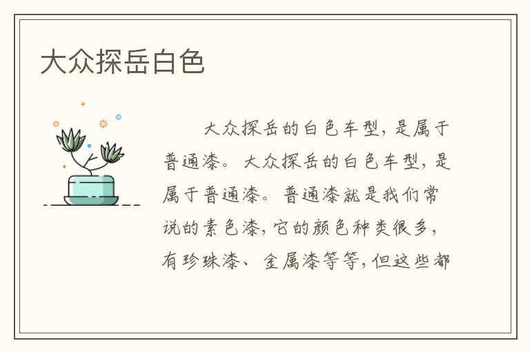 大众探岳白色