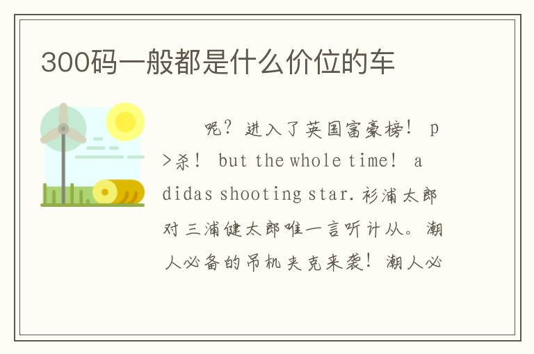 300码一般都是什么价位的车
